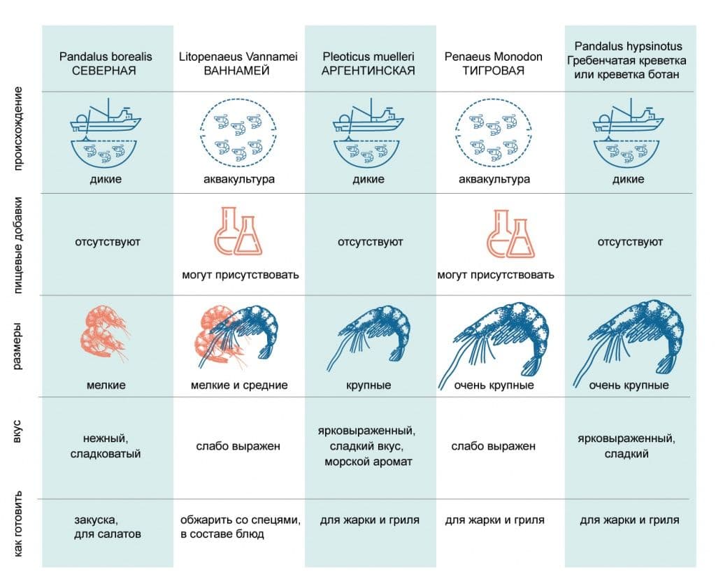 Как выбрать креветки? все что вы хотели знать