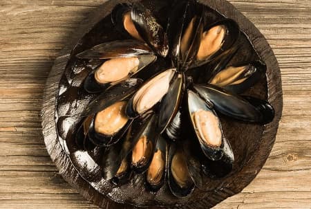 мидии в раковинах голубые 1 (5)