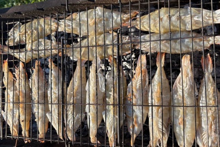 креветка ванамэй бабочка (4)