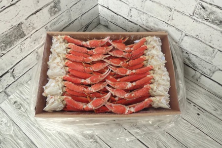 краб стригун бэрди 300+ 1