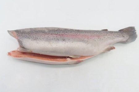 форель китай (4)