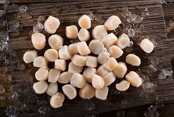 Гребешок курильский, очищенный, дикий