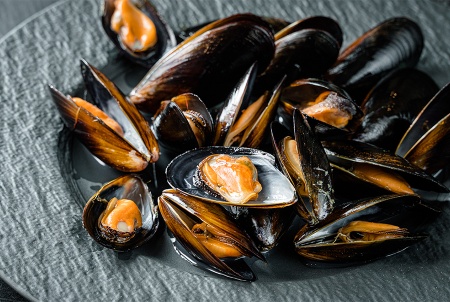 мидии в раковнах голубые (6)