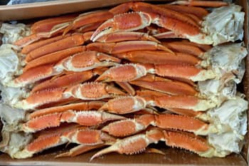 Краб стригун-опилио, конечности, 2L, 5 кг