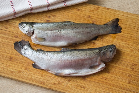 форель речная 4