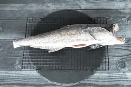 кобия ПБГ (2)