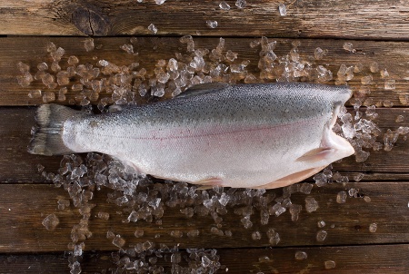 форель морская (2)