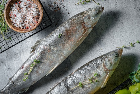 омуль-см-ав 4