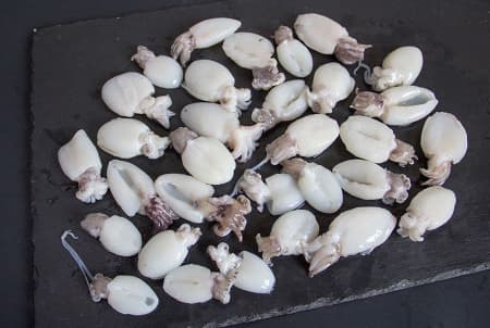 каракатица 4