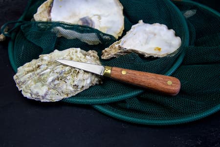 нож дерево 2