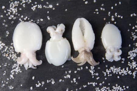 каракатица 4