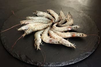 Креветка королевская ваннамей блочной заморозки, целая, 50/60