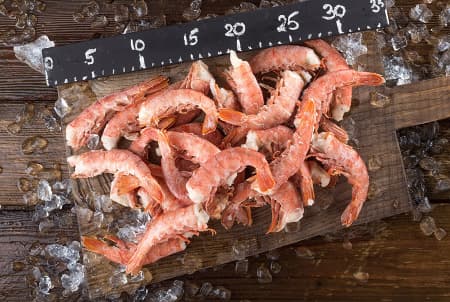 лангустино С1 без головы 3