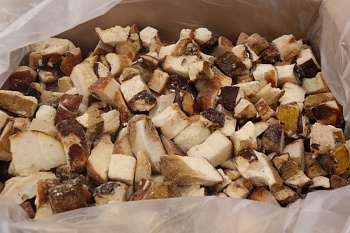 Грибы белые резаные (кубики), 8 кг