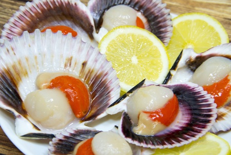 гребешок на створке 6