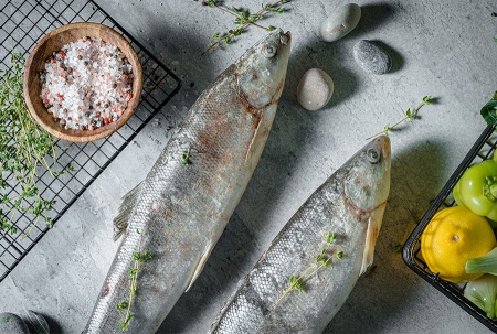 омуль-см-ав 4