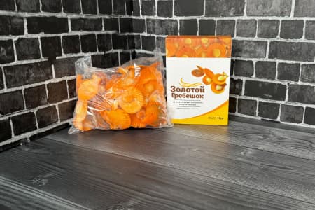 гребешок золотой (3)