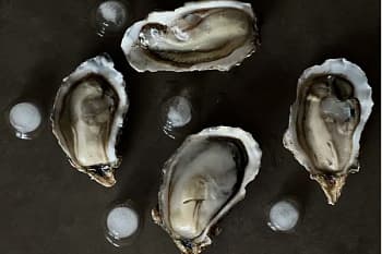 Устрицы на створке