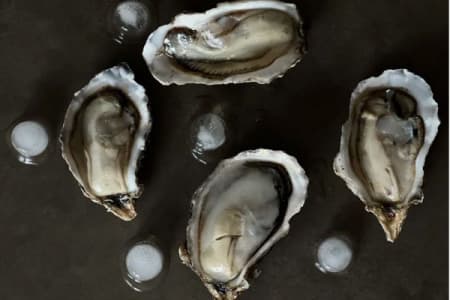 Устрицы (5)