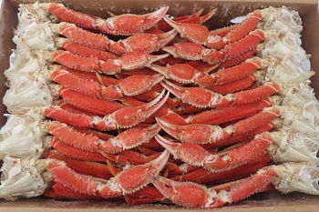 Краб стригун-бэрди, конечности, 2L, 5 кг