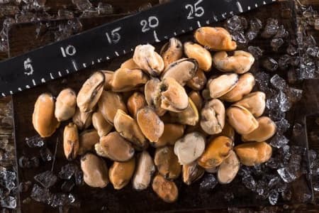 мидии очищен. 2