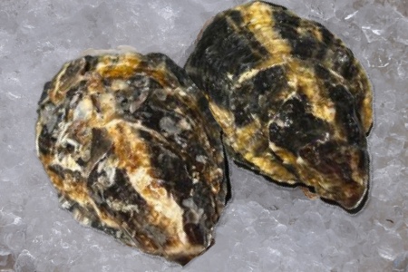 Стелла Марис (2)