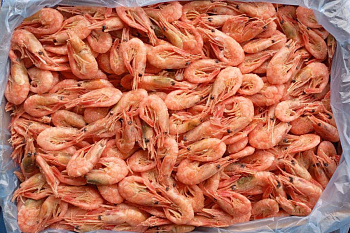 Креветка северная, 120/150, 5кг