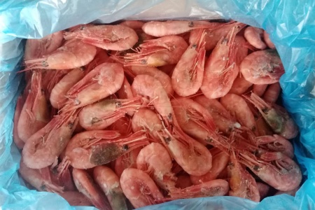 креветка северная 90-120-2