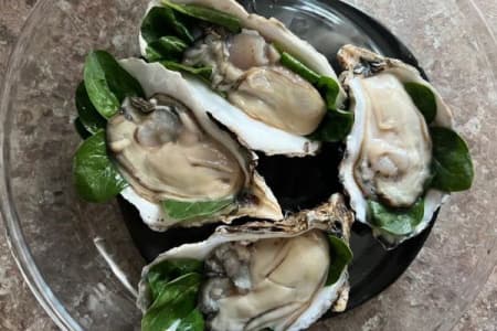 Устрицы (5)