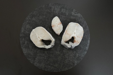 макрурус (2)