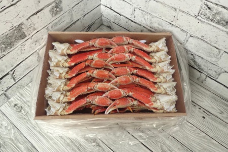 краб стригун бэрди 350+ 1