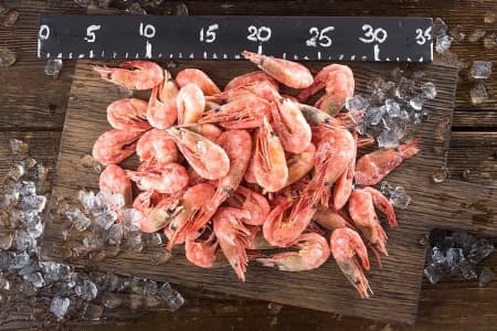 креветка северная 80-100 5
