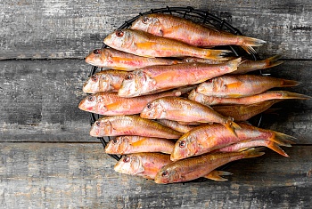 Барабулька, Мавритания