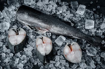 Черная треска (угольная рыба), 2+ кг