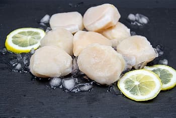 Гребешок, очищенный, крупный