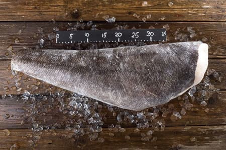 клыкач тушка 1 (2)