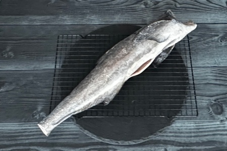 кобия ПБГ (2)