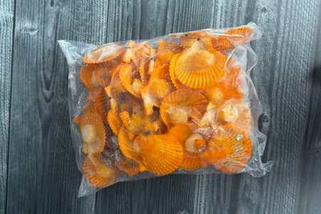 гребешок золотой (3)