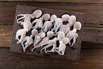 Осьминог бэби