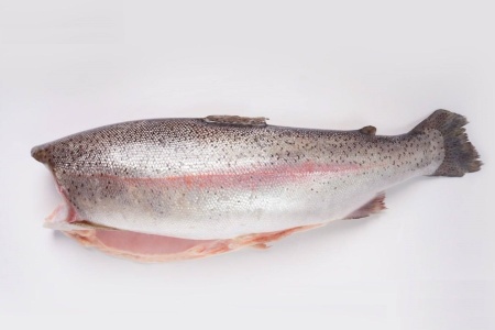 форель китай (4)