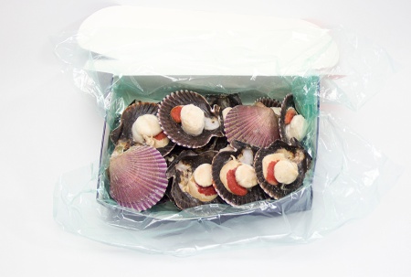 гребешок на створке 6