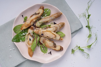 Черенок морской Навахас, на створках раковины, 40/60