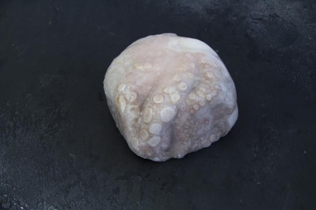 осьминог цветочек 2