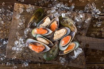 Мидии зеленые, на полустворке раковины