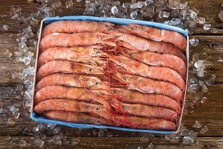 лангустино L1 3