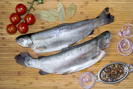 форель речная 4