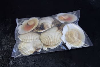 Гребешок морской, на полустворке, с икрой, 24/26