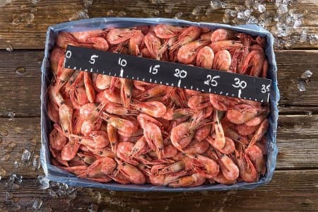 креветка северная 80-100 5