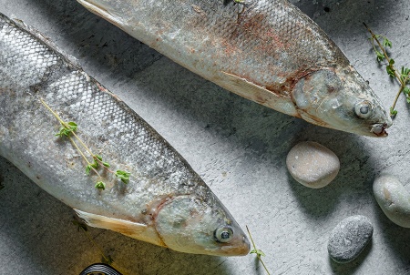 омуль-см-ав 4