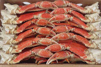 Краб стригун-бэрди, конечности, 3L, 5 кг